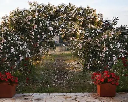 Masseria Le Celline