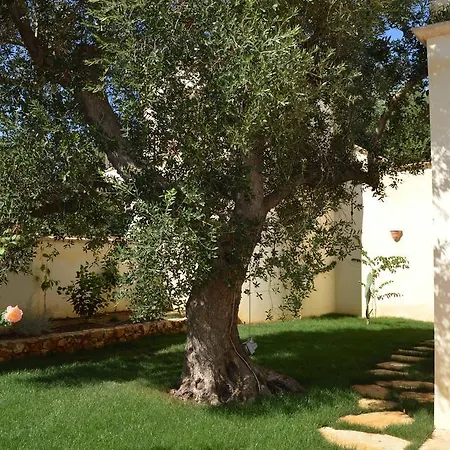 Alojamento de Turismo Rural Masseria Le Celline *