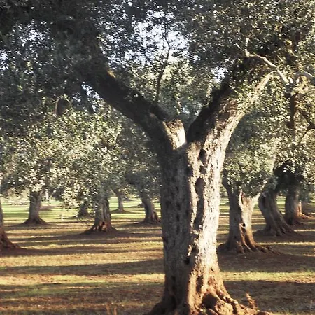 مزرعة للإقامة Masseria Le Celline *