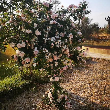 Masseria Le Celline Nardò