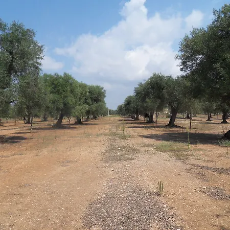 Farm stay Masseria Le Celline *