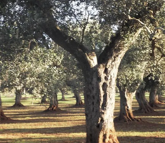 Alloggio per agriturismo Masseria Le Celline *